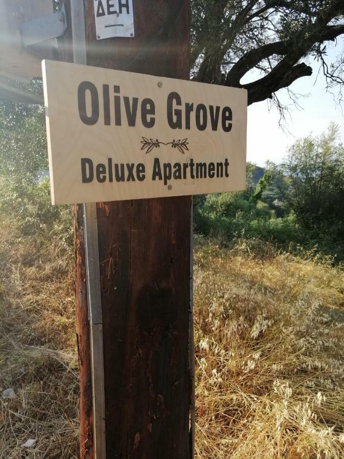 Olive Grove Deluxe Apartment Agnítsini المظهر الخارجي الصورة